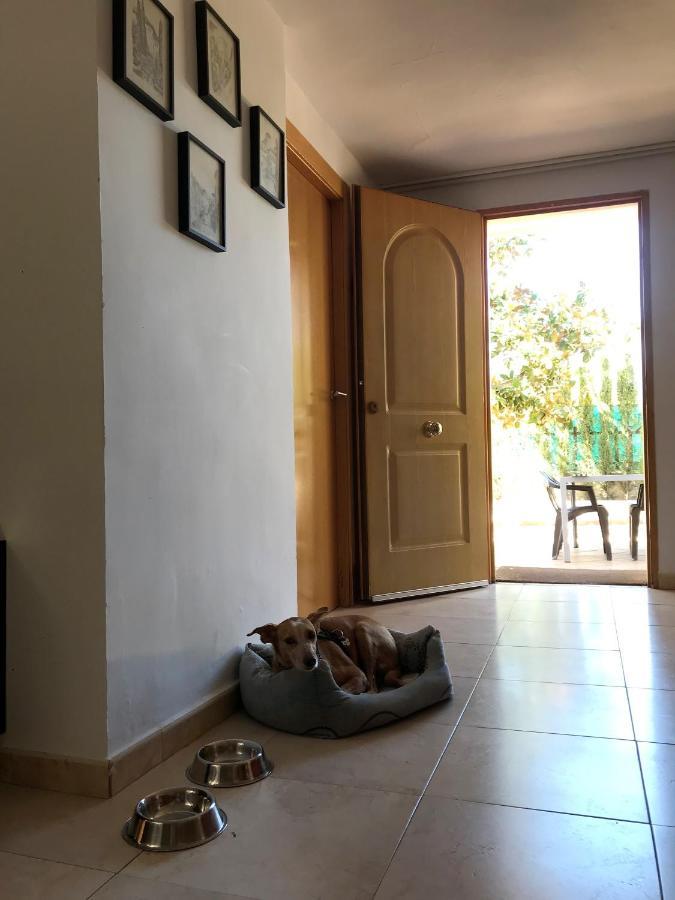 Villa Jazmin โมนาชิล ภายนอก รูปภาพ
